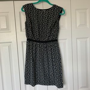 Loft - scoop neck dress - perfect for work